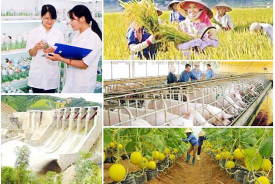 Ưu tiên vốn hỗ trợ huyện nghèo, xã đặc biệt khó khăn Ưu tiên vốn hỗ trợ huyện nghèo, xã đặc biệt khó khăn